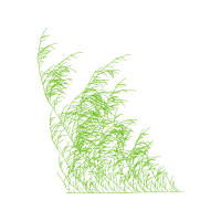 Grasses Other