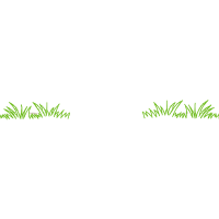 Grasses Other