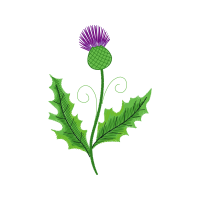 Greater Burdock Other