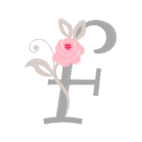 Greater Flamingo Other