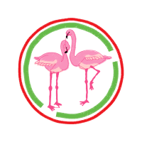 Greater Flamingo Other