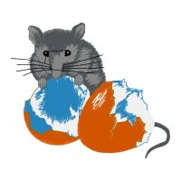 Hamster Other