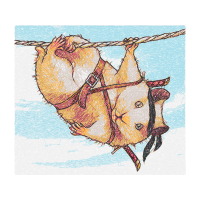 Hamster Other