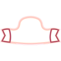 Handbag Other