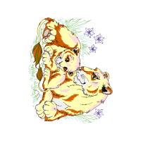 Illustration Other