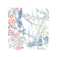 Illustration Other