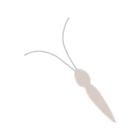Illustration Other