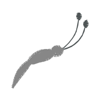 Illustration Other