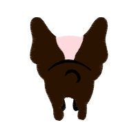 Illustration Other