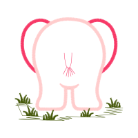 Illustration Other