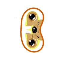 Illustration Other