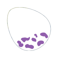 Illustration Other