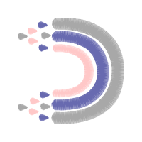 Illustration Other