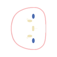 Illustration Other