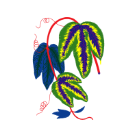 Illustration Other