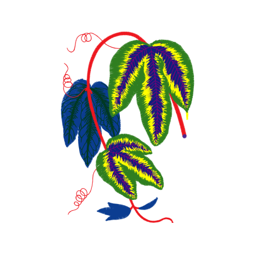 Illustration Other