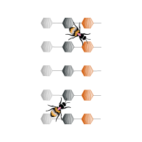 Illustration Other