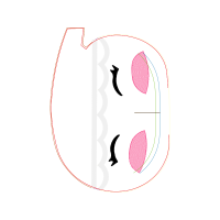 Illustration Other