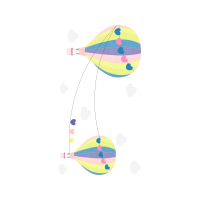 Illustration Other