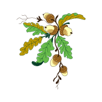 Illustration Other