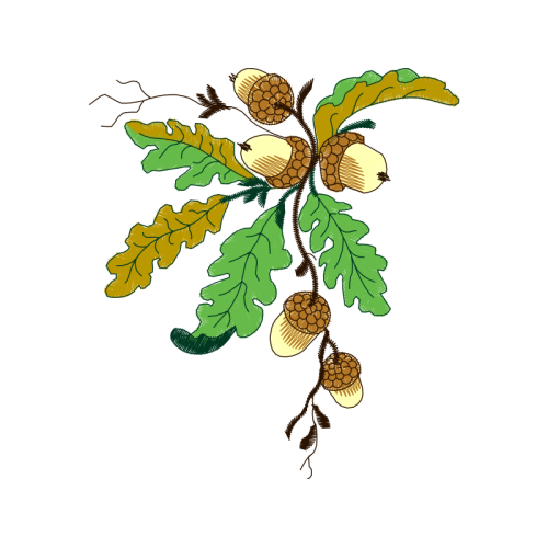 Illustration Other