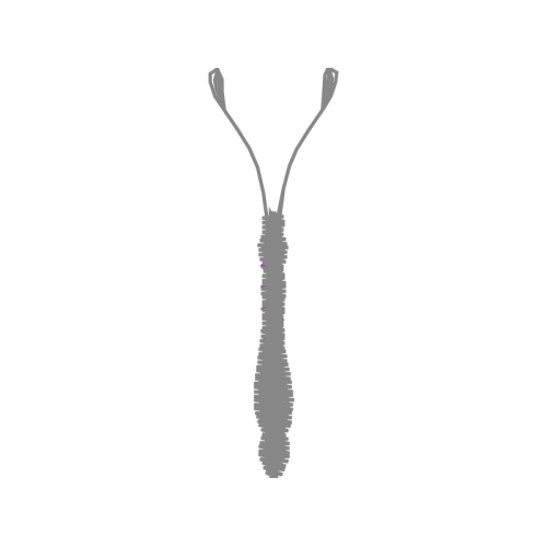 Illustration Other