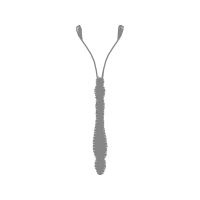 Illustration Other