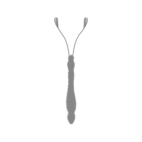 Illustration Other