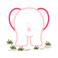 Illustration Other