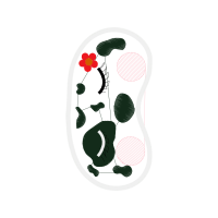 Illustration Other