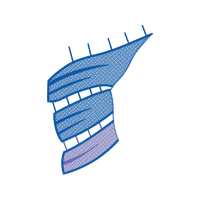Illustration Other