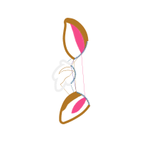 Illustration Other