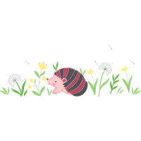 Illustration Other