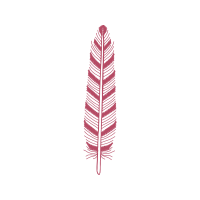 Illustration Other