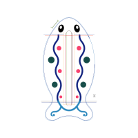 Illustration Other