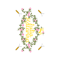 Illustration Other