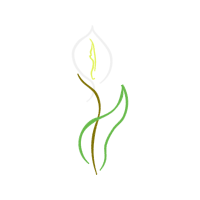 Illustration Other