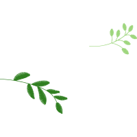 Illustration Other