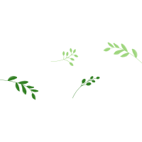 Illustration Other
