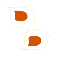 Illustration Other