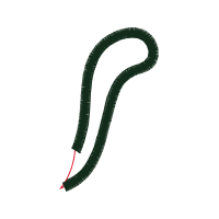 Illustration Other