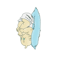 Illustration Other