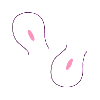 Illustration Other