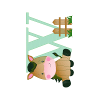 Illustration Other
