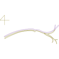 Illustration Other