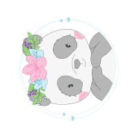 Illustration Other
