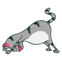 Illustration Other