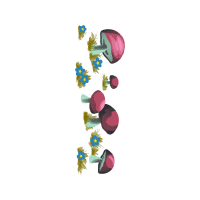 Illustration Other