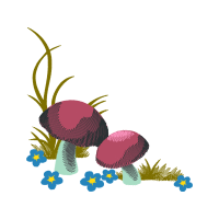 Illustration Other