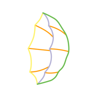 Illustration Other
